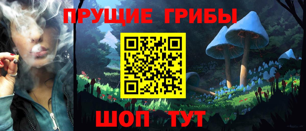 Псилоцибиновые грибы Psilocybe Менделеевск