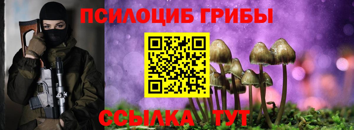 Менделеевск  Псилоцибиновые грибы Psilocybe  Псилоцибиновые грибы Cubensis  Вход с VPN 